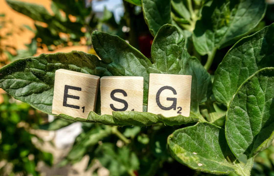 ESG definícia